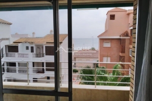 Apartamento - Temporada - Guardamar - Playa